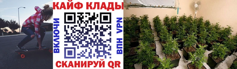 Все наркотики Новокубанск MDMA  Меф мяу мяу  A-PVP  Псилоцибиновые грибы  Cocaine  ГАШИШ  Марихуана 