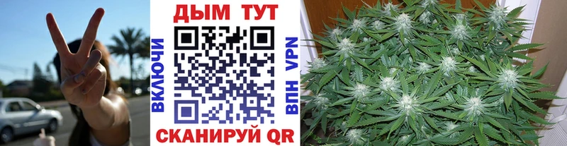 Шишки марихуана SATIVA & INDICA  блэк спрут маркетплейс  Новокубанск  как найти  